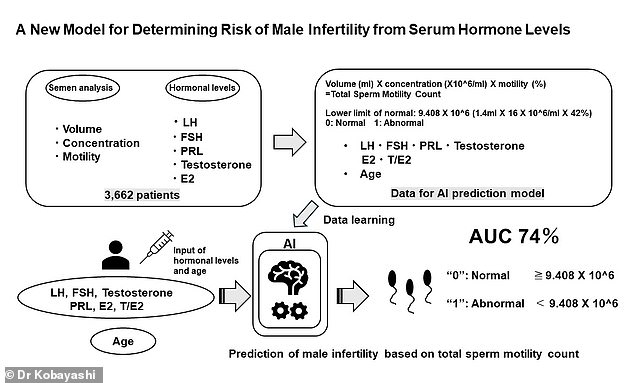 This graphical abstract explains the new model for determining male infertility risk based on blood hormone levels