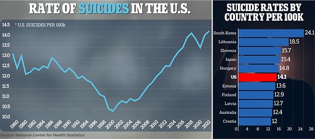 A report released last week found that the US has the sixth highest suicide rate in the world