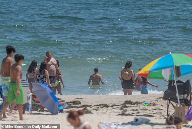 At least six people were bitten or injured by sharks on New York beaches in 2022