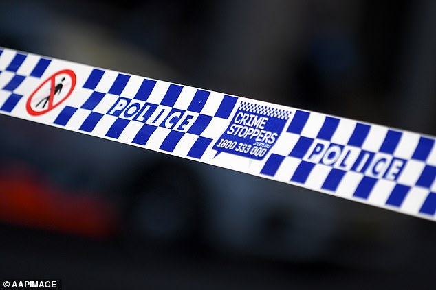 A man has died after a stabbing at a car park in southern NSW (file photo)