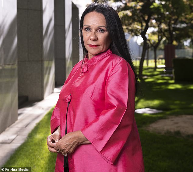 Critics have demanded that Indigenous Affairs Minister Linda Burney show more leadership on the issues plaguing Alice Springs or resign.