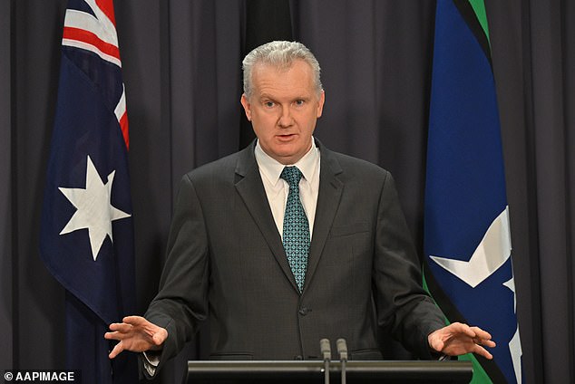 Tony Burke (pictured) was given Mrs O'Neil's portfolio, along with three others