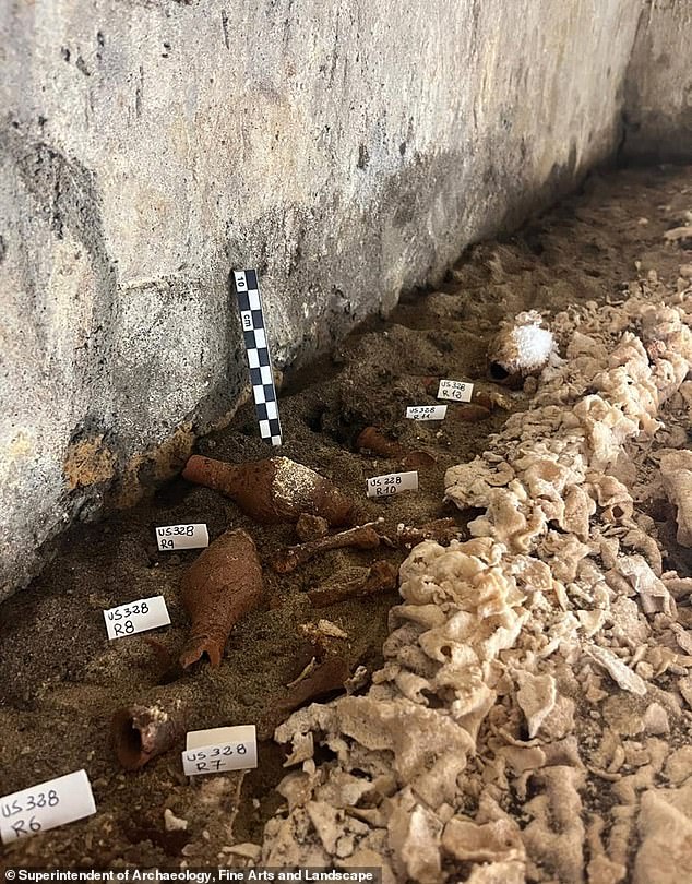 The approximately 2,000-year-old sarcophagus, located in Naples in southern Italy, was first examined with a microcamera to assess whether breaking the seal could damage the precious artifacts and remains it contains (pictured above) by exposing them to the air.