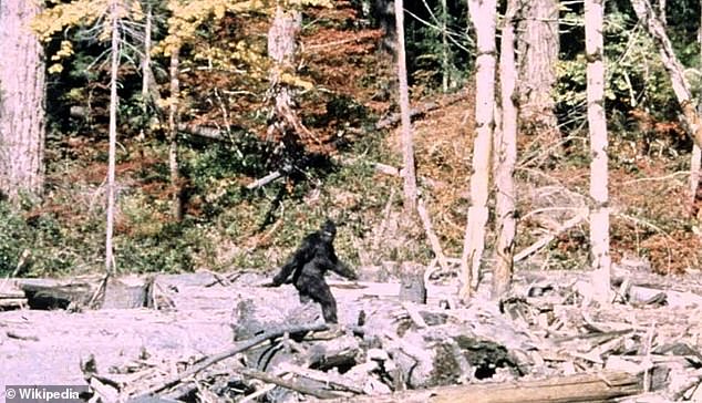 A US Army veteran turned Sasquatch hunter has opened up about his terrifying encounter with 'Bigfoot' while camping along a deserted forest road