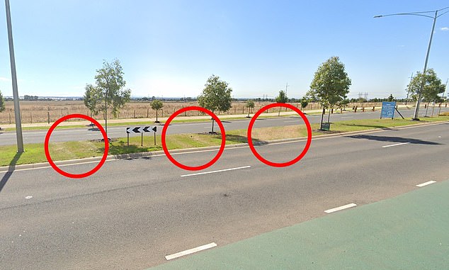 Tire tracks visible on the grass median strip show that drivers used it as a shortcut before the 