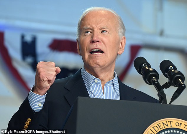 Democratic insiders have suggested that President Joe Biden is in 'denial' about his chances of winning back the White House