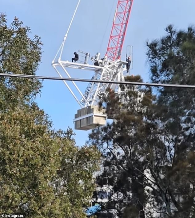 A man has been spotted on a crane in Bondi Junction, Sydney's east, as emergency services try to get him down