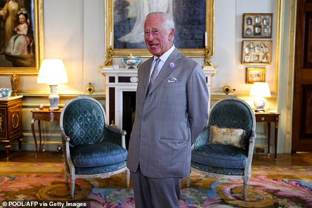 King Charles smiles during an audience with Ukrainian President Volodymyr Zelensky at Blenheim Palace on July 18