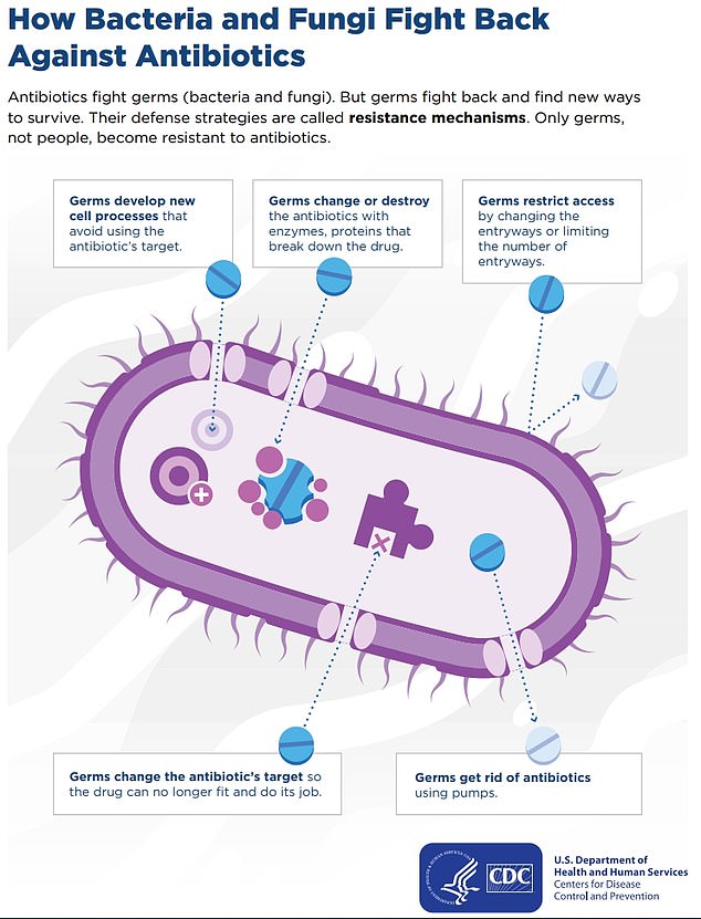 The above shows how a bacterium or fungus can fight an antibiotic and acquire immunity, making the drug redundant.