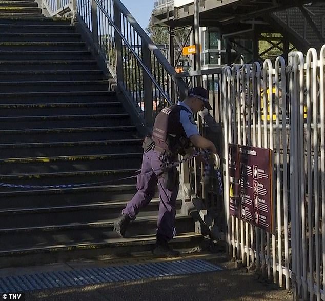 Authorities have yet to determine what caused the stroller to tip over. Police are still investigating the incident (photo shows police at the police station).