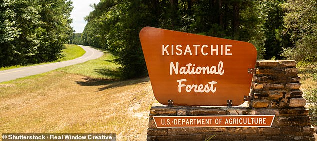 Natchitoches Parish sheriff's deputies rushed to the aid of a group of recent high school graduates who called in distress while deep in the Kisatchie National Forest.