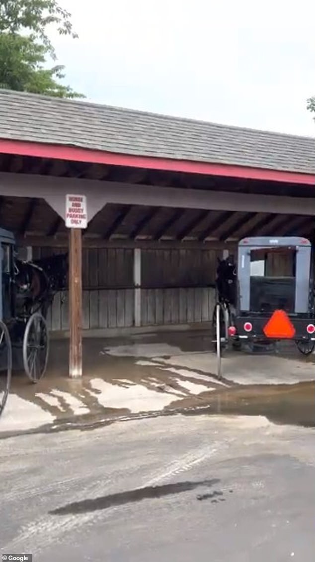 Traditional Amish members are not allowed to drive cars, choosing to use carriages or walk instead. Most of their income comes from farming and construction