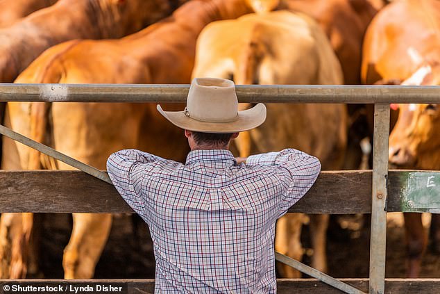 The New South Wales Premier has rejected calls from farmers to move daylight saving time back to summer, arguing the current length of daylight saving time is needed to encourage active lifestyles (file photo)