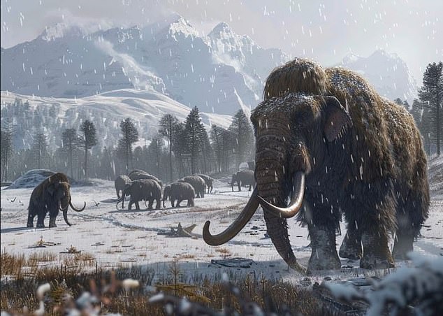 Experts are one step closer to bringing the woolly mammoth back to life thanks to the first-ever 3D reconstruction of chromosomes collected from ancient skin