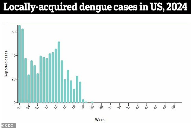Above you can see the number of patients who tested positive for dengue despite not traveling outside the United States