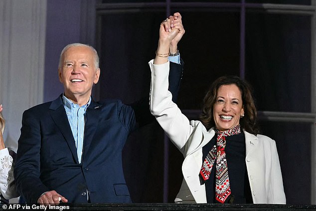 A fundraiser and organizer for wealthy Democrats — who previously said a 'dead' or 'comatose' Biden would be better than Kamala Harris — shares why Joe Biden won't withdraw from the 2024 election