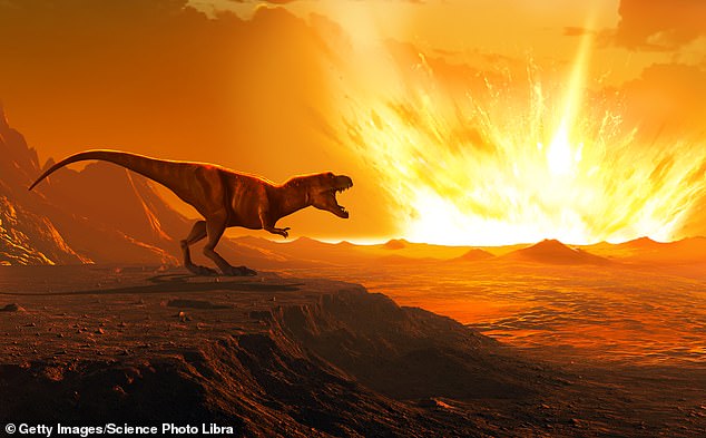 It has long been known that the dinosaurs were wiped out by the Chicxulub impact - a crashing asteroid or comet that slammed into a shallow sea in what is now Mexico's Yucatán Peninsula about 66 million years ago (archive photo)