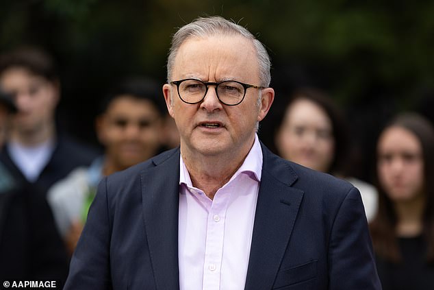 Anthony Albanese previously said Senator Payman had 'placed herself outside the Labor party' after voting with the Greens