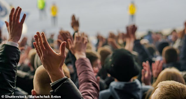 Representatives of the Greystanes Devils - who are part of the Parramatta Junior Rugby League in western Sydney - believe a complete ban on spectators is the solution (stock photo)