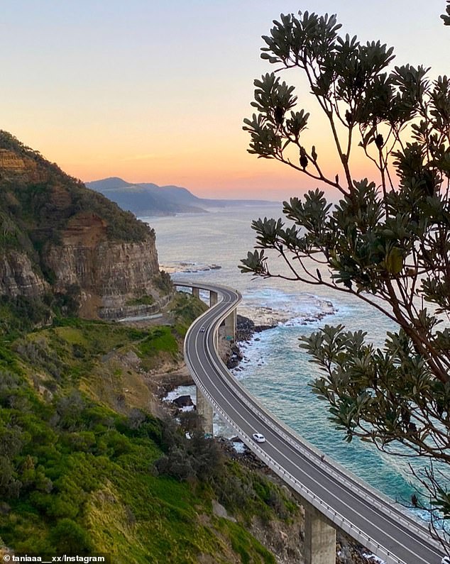 It was reported that the individual was on the famous Sea Cliff Bridge (pictured) near Wollongong when Hynes intervened and helped save their life