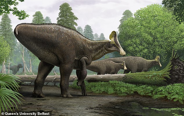 The hadrosaur is a large family of giant herbivorous dinosaurs - including at least 61 identified, individual species with possibly hundreds of unique species that once roamed the Earth, according to experts. The hadrosaurs above are an artist's reconstruction of a Russian find