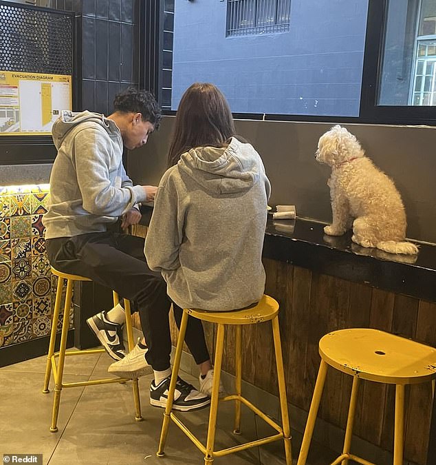 A Sydney couple were recently photographed with their dog sitting on the table at a Guzman y Gomez restaurant in the city's Inner West