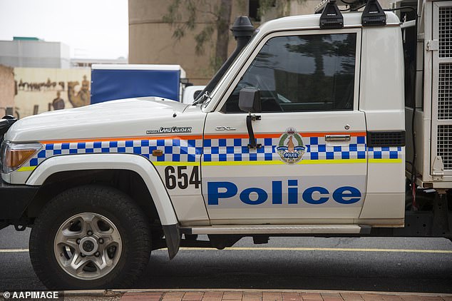 Three people have died in a two-car crash in the Northern Territory (file photo)