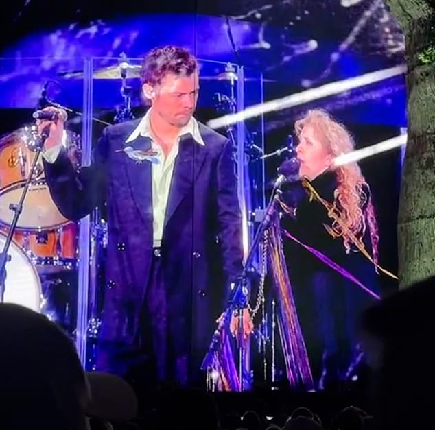 Harry Style left the crowd in awe when he was revealed as a surprise guest at Steve Nicks' headline performance at BST Hyde Park on Friday night