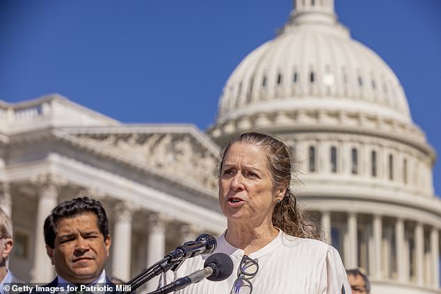 Heiress and major Democratic donor Abigail Disney has announced she will stop donating to Joe Biden and the entire party until the ailing president steps down