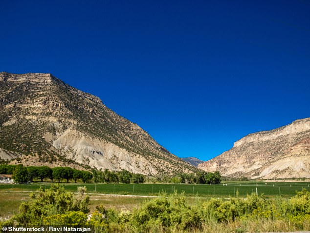 The elderly woman disappeared after walking her dog near her family's cabin in Joe's Valley, Emery County