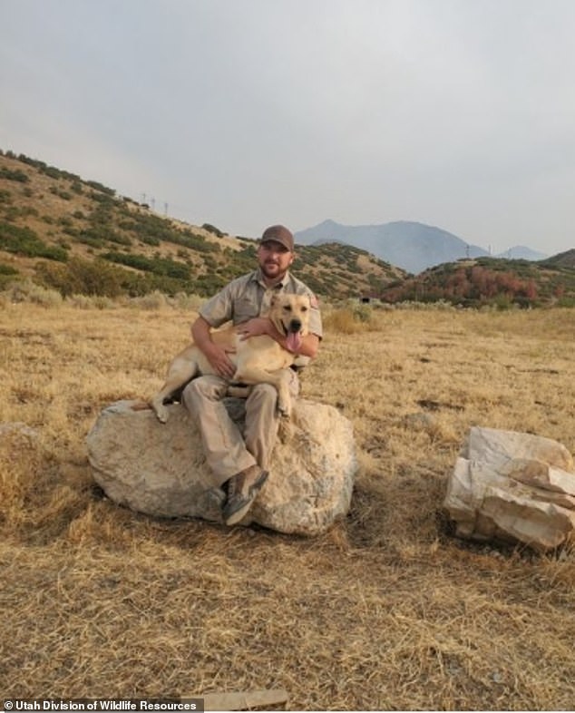 A dog-led rescuer, James Thomas, and his K-9 partner Kip (pictured) led to their owner with dementia while she was lost in the Utah mountains has been hailed as a hero