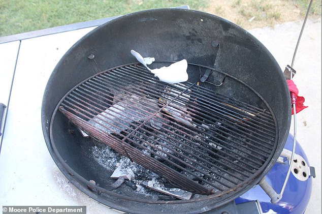 The barbecue where the innocent cat was burned