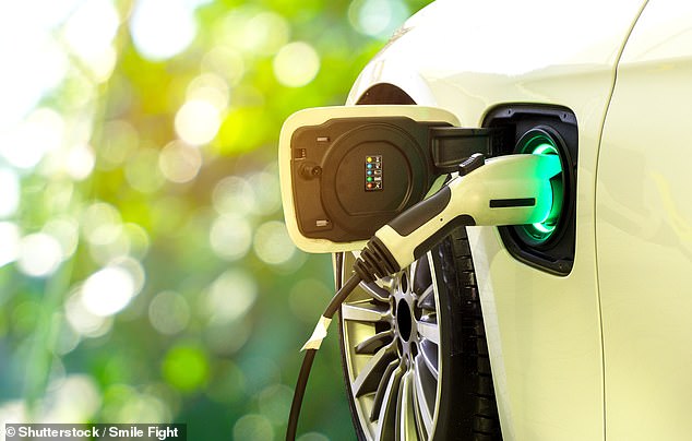 Demand for electric vehicles will account for about a third of electricity growth within the next decade, but the electricity grid currently lacks the infrastructure to handle the increase.
