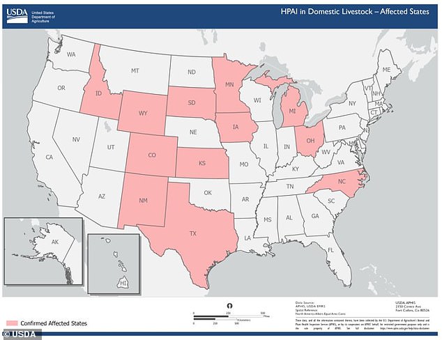 The map above shows the states where avian influenza infections in cattle have been reported
