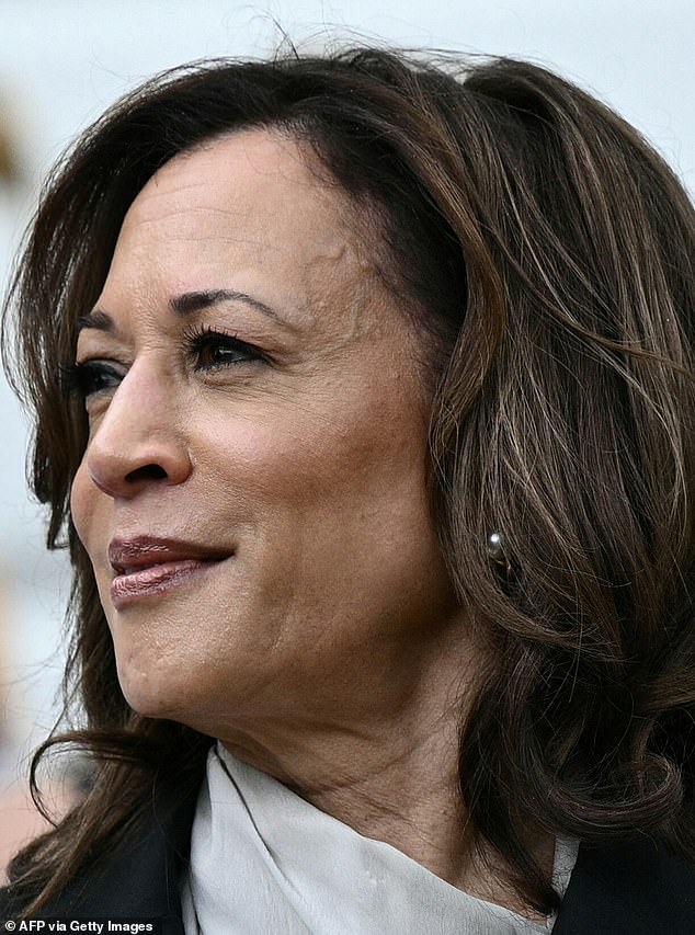 Kamala (pictured) is not yet 60. Compared to the 81-year-old Biden and the 78-year-old Trump, she is practically a young chicken.