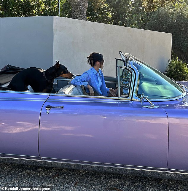 Kendall has been spotted driving a 1960 Cadillac Eldorado, which is estimated to be worth around $220,000, according to The Sun (pictured in the Eldorado with her dog Pyro)