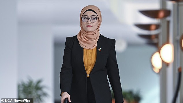 Senator Fatima quit the ALP on Thursday after concerns about the party's stance on Palestine. Photo: NewsWire/Martin Ollman