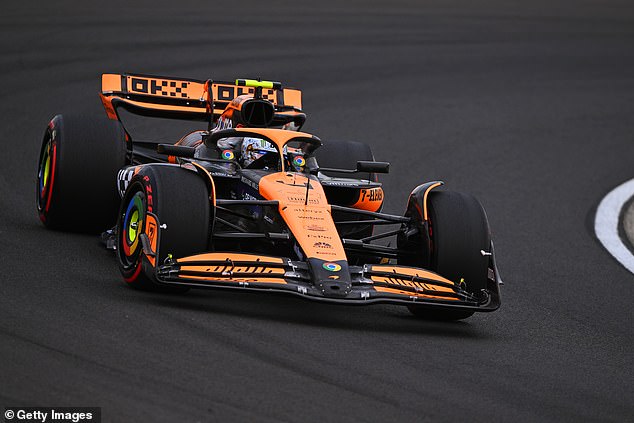 Lando Norris set the fastest time in final practice for the Hungarian Grand Prix