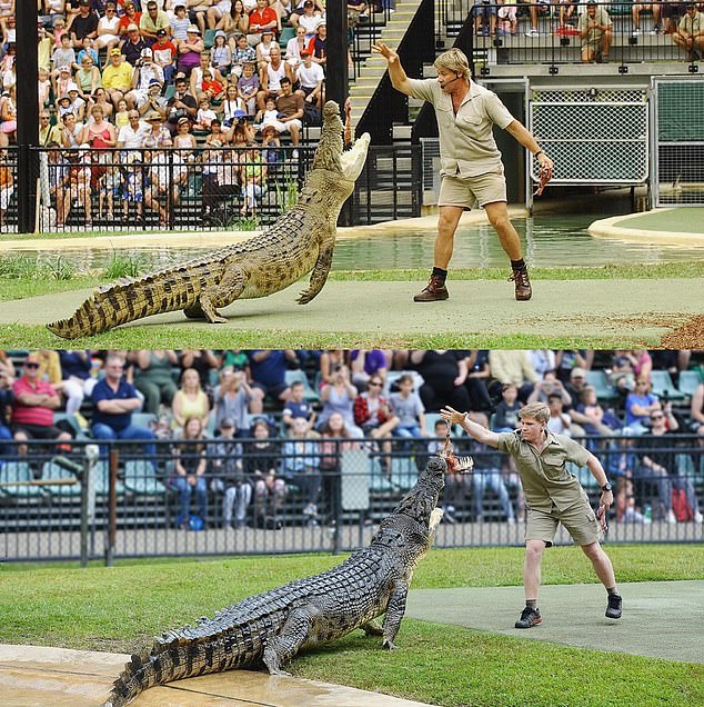 There's no doubt that Robert Irwin, 20, is the son of the late wildlife warrior Steve, but a resurfaced photo has made fans do a double take. Both are pictured