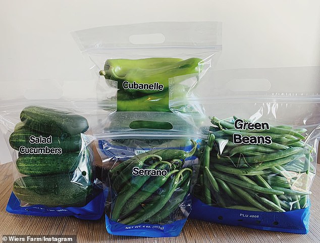 A recall that previously only affected cucumbers has been expanded to include more products across the country, including these bags of vegetables seen here — all from Ohio-based Wiers Farms