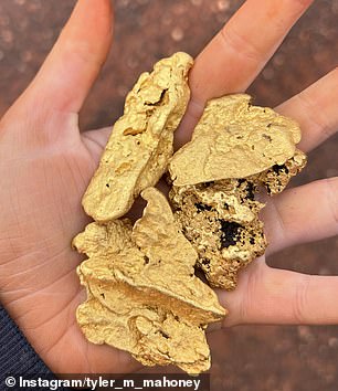 The 146 gram gold nugget was discovered in the topsoil of the bush