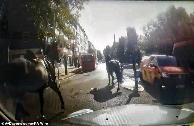 Dashcam footage from a taxi driver in a black cab shows two of the three military horses that rode through central London on Monday