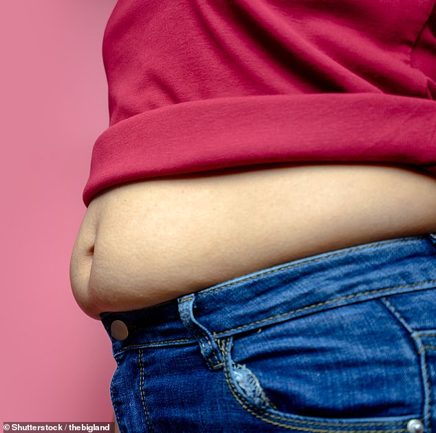 A mother has put her two identical twin daughters on a diet because one of them is obese