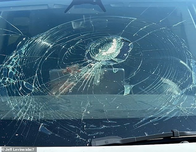 A New Jersey couple says their windshield was cracked by a fish that fell from the sky