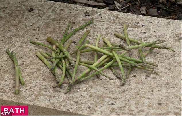 Jemima predicted on Jeremy Vine's Radio 2 show last week that a 'lady' would win the election. On Lorraine on Tuesday she used a bunch of asparagus to predict who this would be