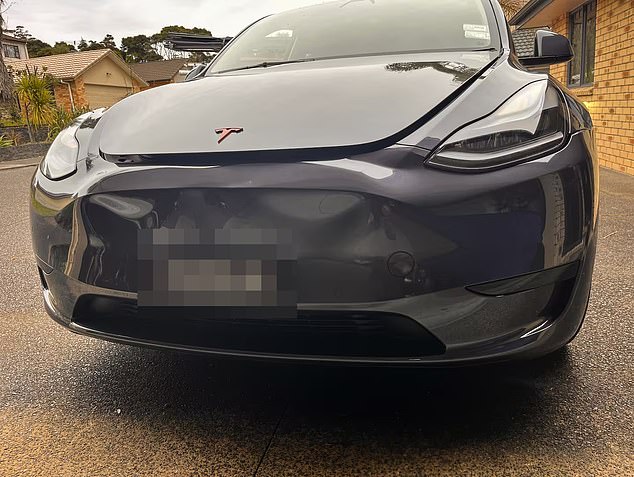Although Mr. Robinson's $80,000 Tesla was still drivable, he said he still believes the driver should face consequences