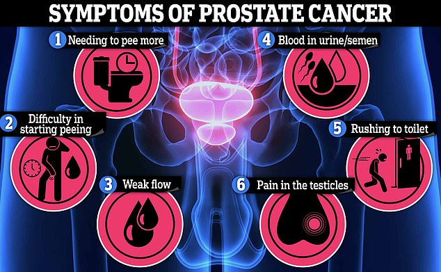 New test can predict whether prostate cancer will return and