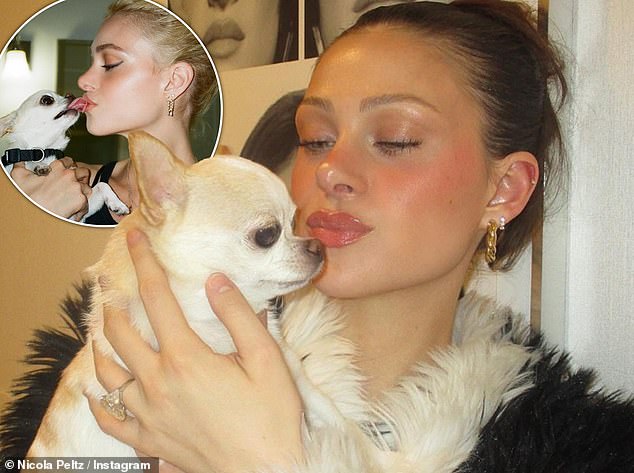 Nicola Peltz Beckham has reportedly taken legal action against a groomer who treated her dog before she died