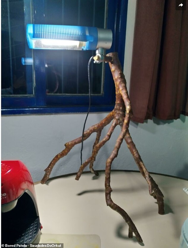 Tree a crowd! A woodworker from Brazil found a creative solution when the base of their lamp broke