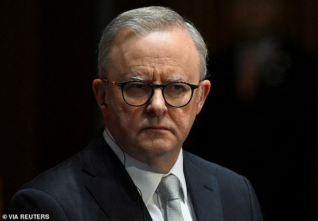 Anthony Albanese (pictured) has ordered Russia to 